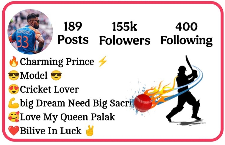 Instagram Bio For Cricket Lovers