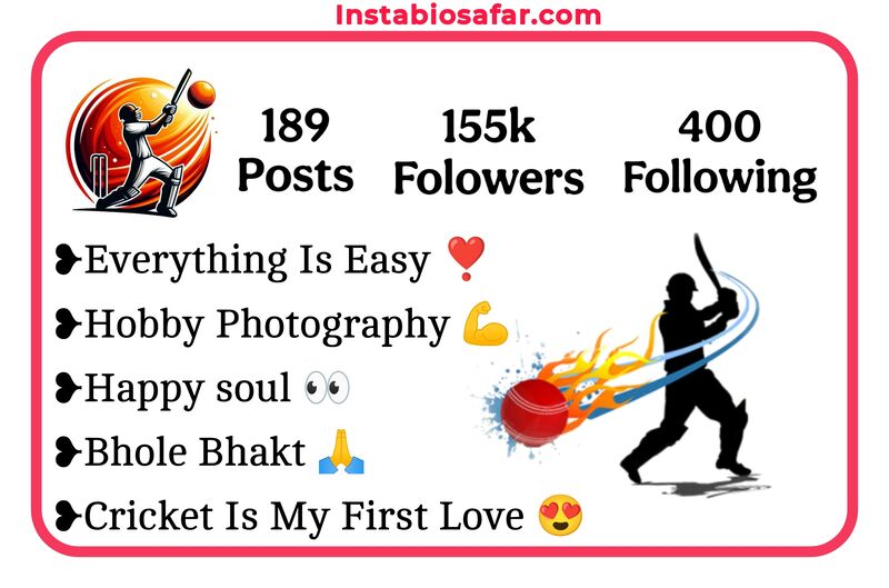 Cricket Lover Bio For Instagram 