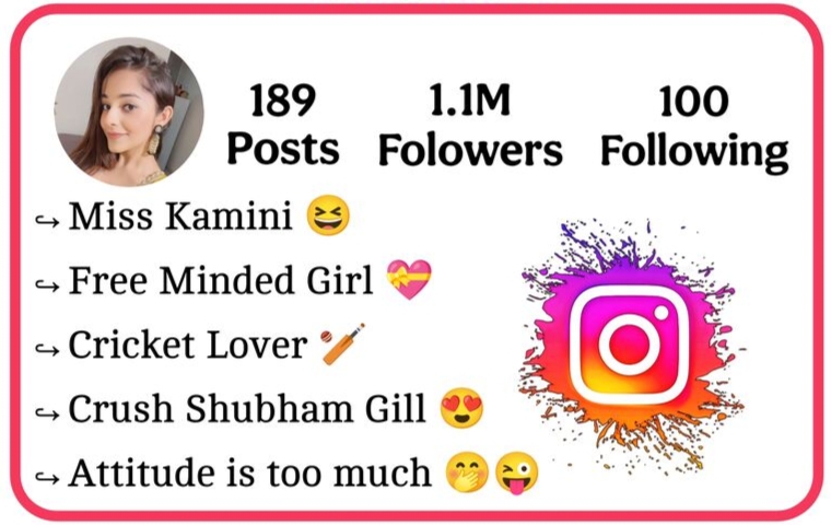 Instagram Bio For Girls Attitude
