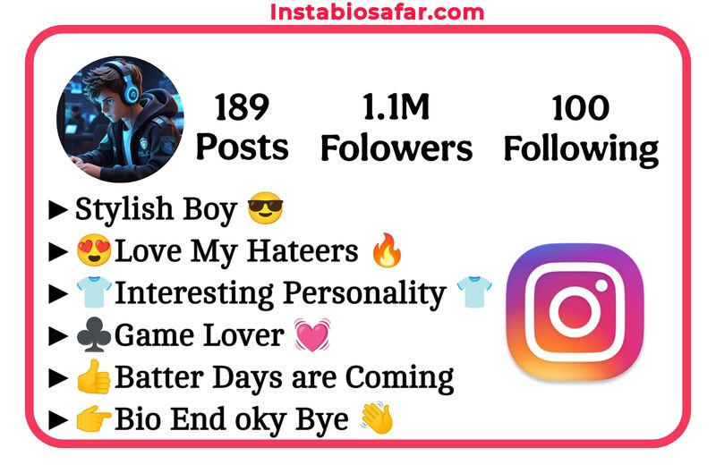 Stylish Instagram Bio For Gamer 