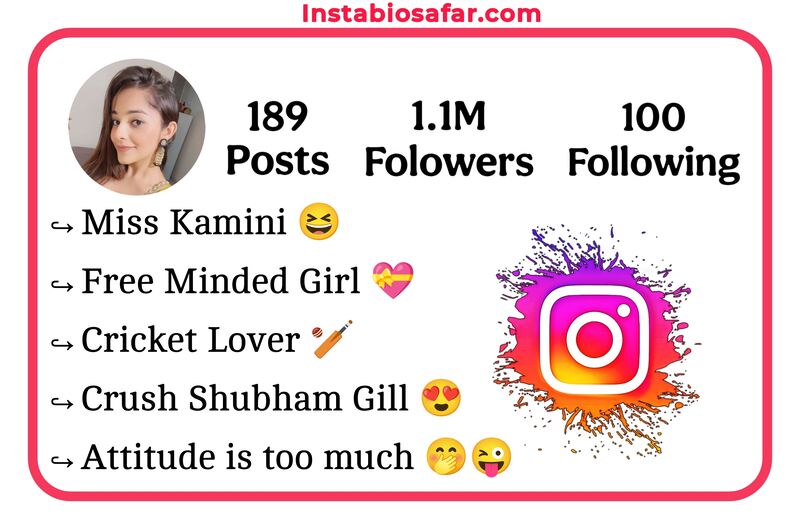 Instagram Bio For Girls Attitude 